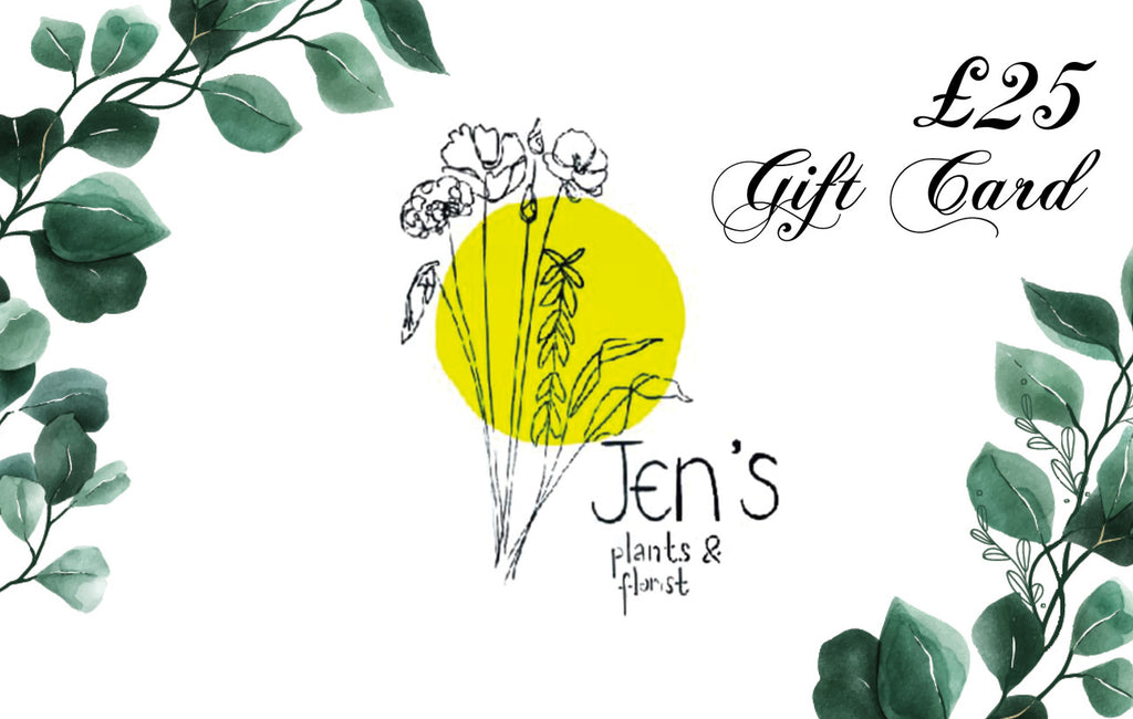 Jen's Plants & Florist Gift Cards